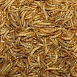 Melorme Tørret 200 Gram
