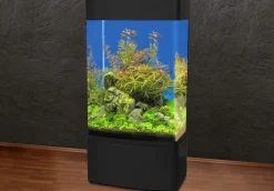 MiniZoo Søjle Akvarium 80 Sort