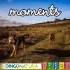 Moments hundesnack Kylling og Ost 60 g - naturlige hundegodbidder