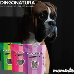 Moments hundesnack Kylling og Frugt 60 g - fuldfoder hundegodbidder