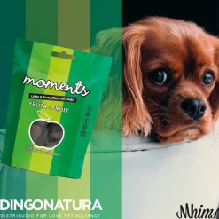Moments hundesnack Kylling og Frugt 60 g - fuldfoder hundegodbidder