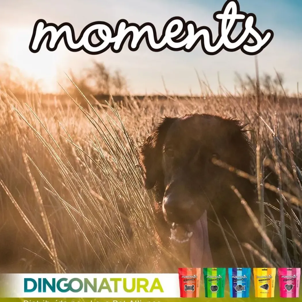 Moments hundesnack Kylling og Frugt 60 g - fuldfoder hundegodbidder