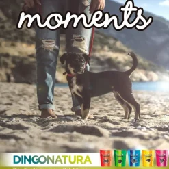 Moments hundesnack Kylling og Frugt 60 g - fuldfoder hundegodbidder