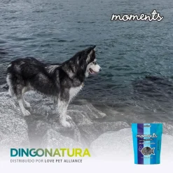 Moments hundesnack Laks 60 g - fuldfoder hundesnacks