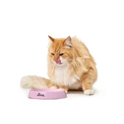 Moulins melamin katteskål Pink