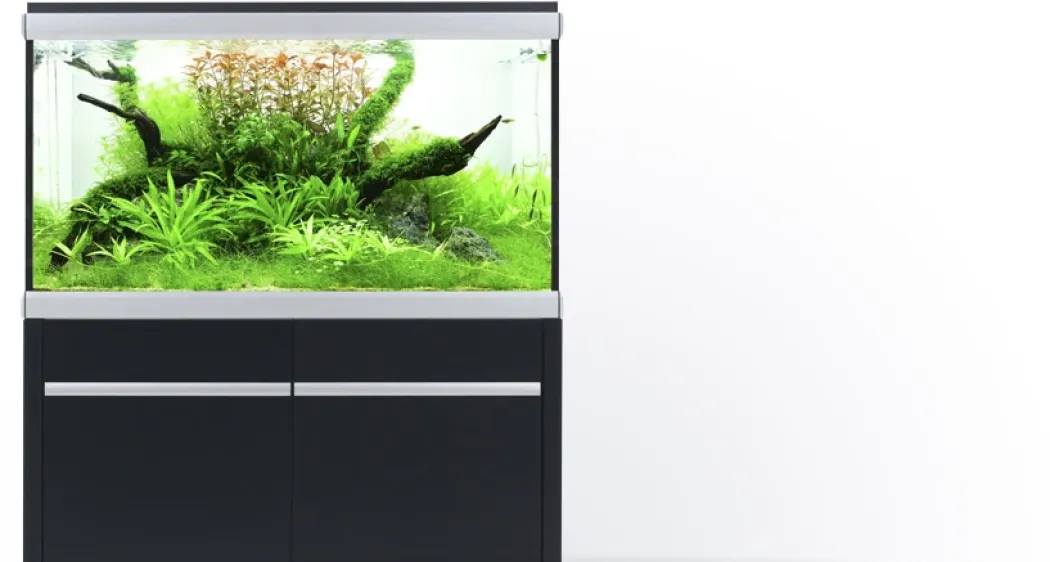 MOVE akvarium 275 liter Sort