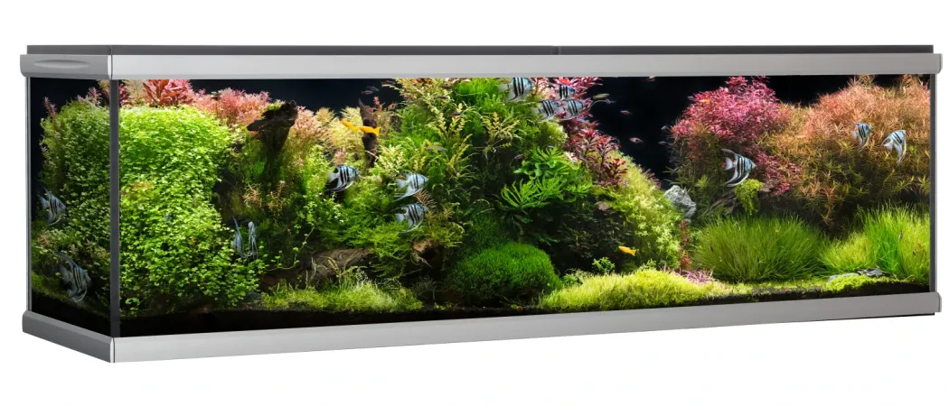 MOVE akvarium 720 liter Sort