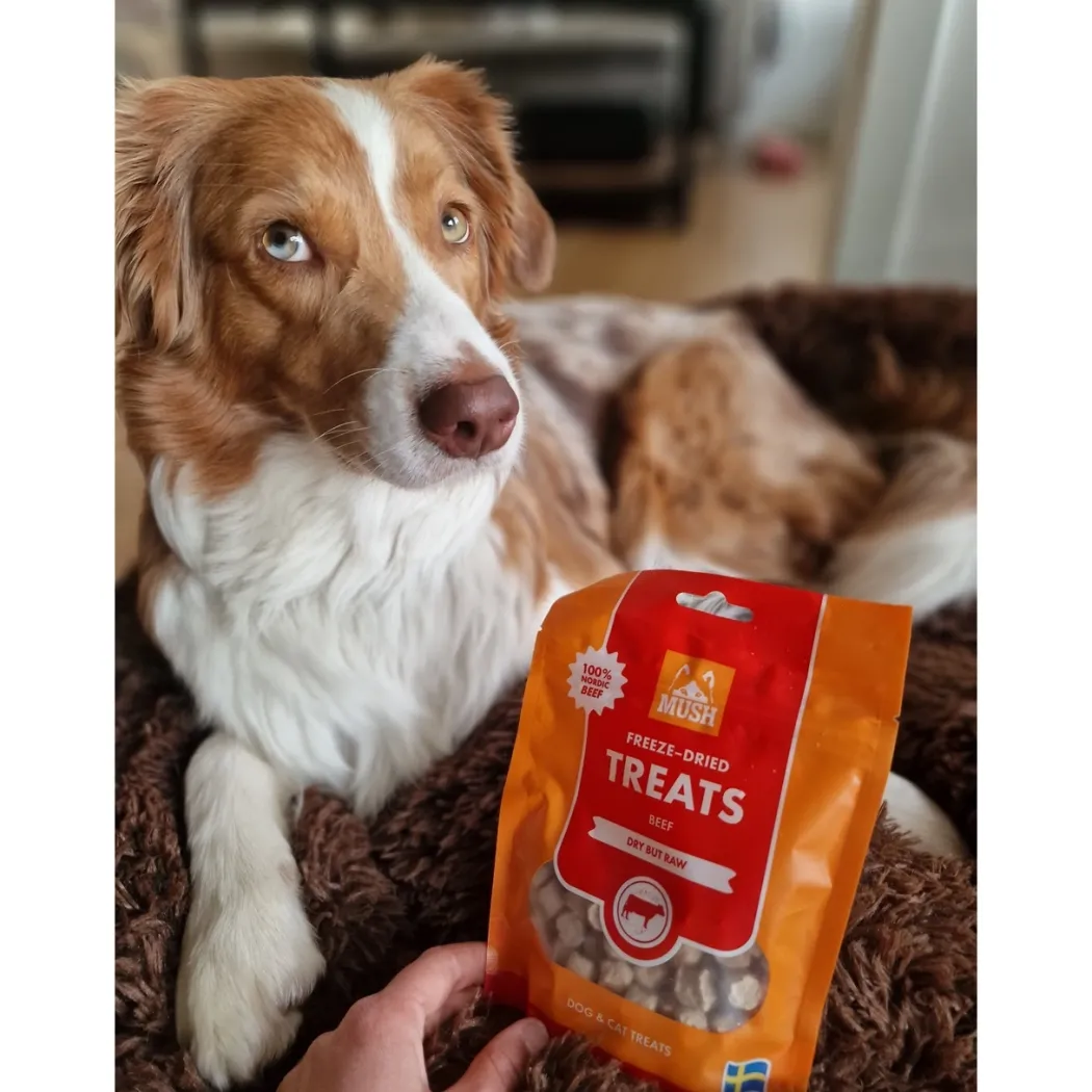 MUSH Treat Lam 55 g - naturlige frysetørrede hundesnacks