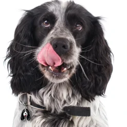 My Family Hundetegn Friends Cockerspaniel Sorthvid