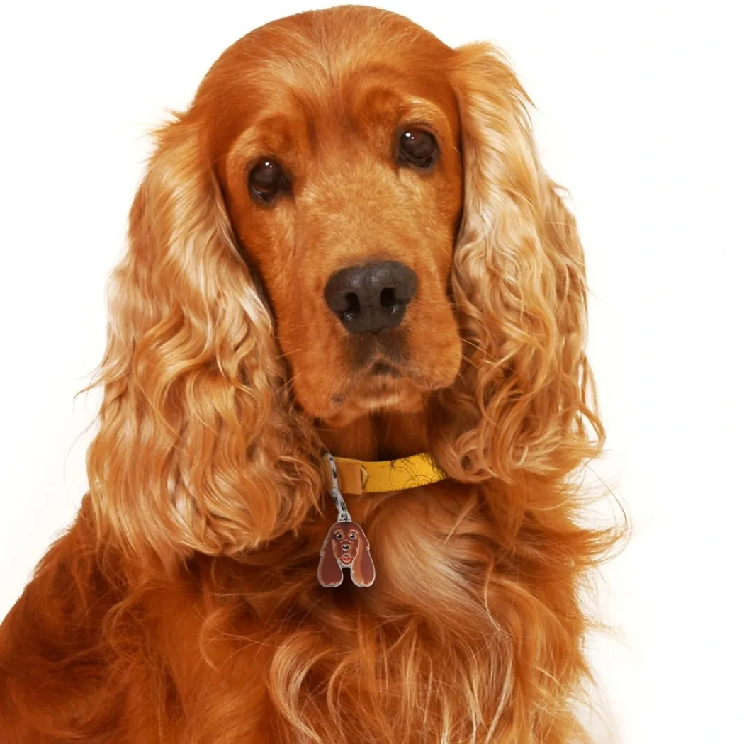 My Family Hundetegn Friends Cockerspaniel Rød