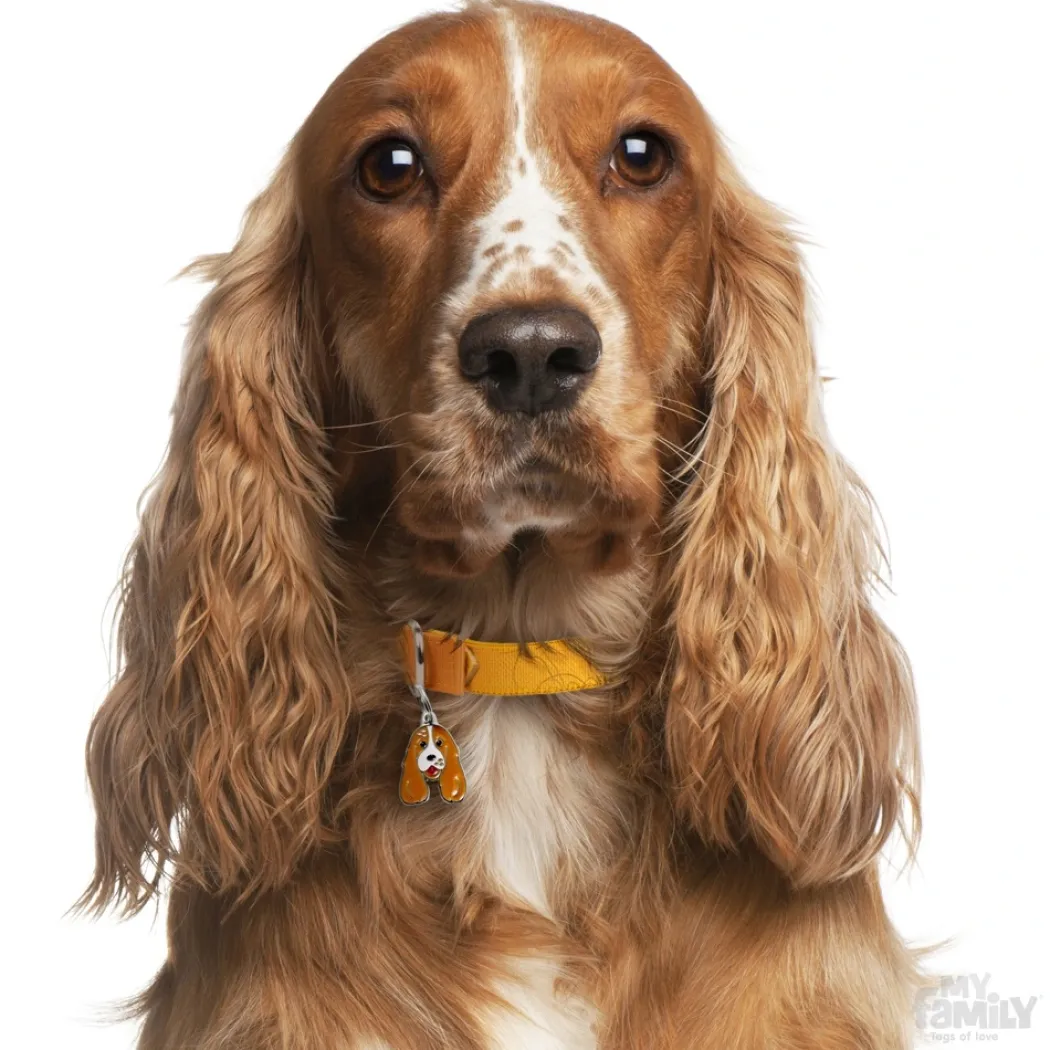 My Family Hundetegn Friends Cockerspaniel Brun hvid
