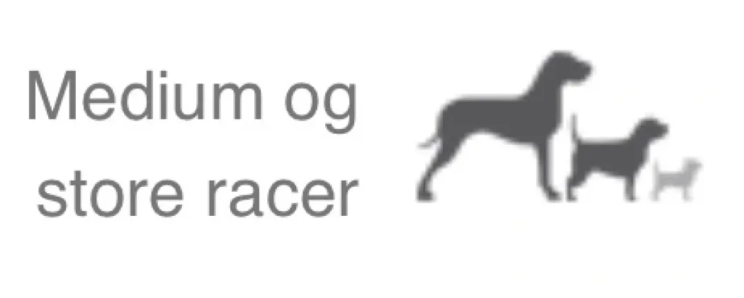 Natura Diet Daily hundefoder 3 kg - Naturligt tørfoder med kylling og ris