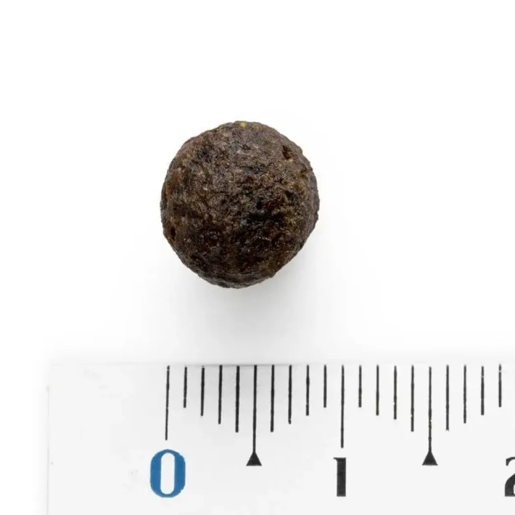 Natura Diet Daily Mini Hundefoder 3 kg - Sund ernæring til små hunde