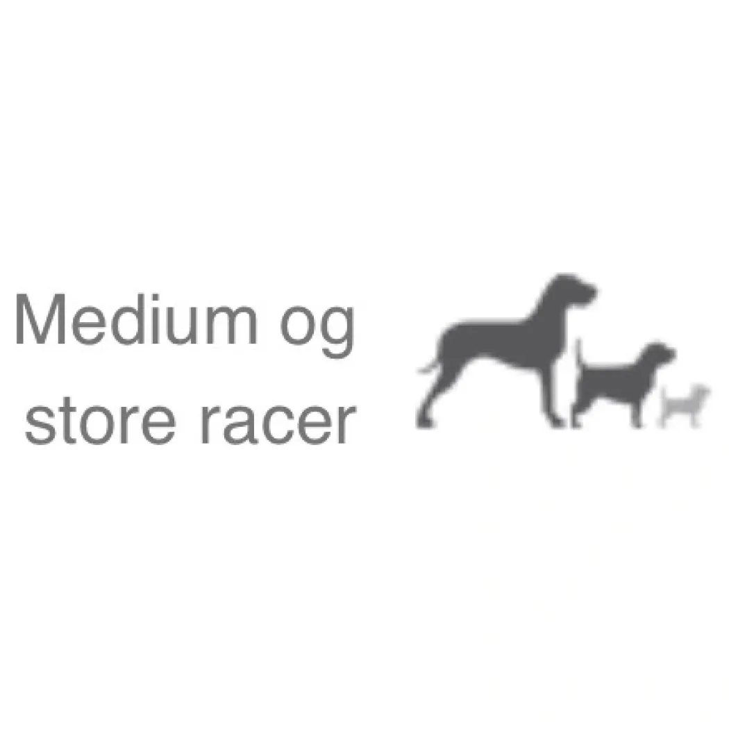 Natura Diet Fisk og ris hundefoder 12 kg - Skånsomt og naturligt