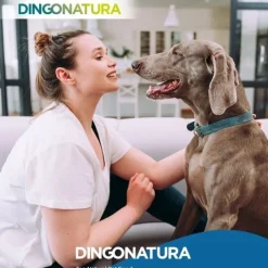Natura Diet Hundefoder Senior +7 12 kg - komplet tørfoder til ældre hunde