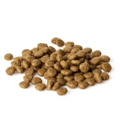 Natura Diet Puppy Starter Hvalpefoder 500 g