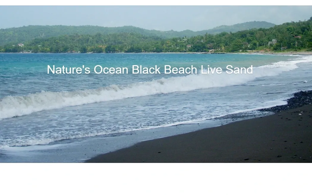 Natures Ocean Live Hawaii Black Beach Sand 9,07 kg 0,5-1,7 mm
