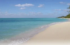 Natures Ocean Natural White Live Sand 4,54 kg 0,5 - 1,7 mm