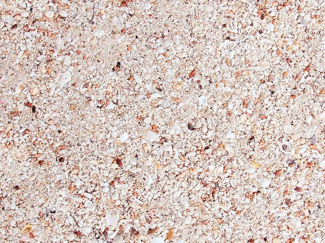 Natures Ocean Reef substrate Live Sand 7,26 kg