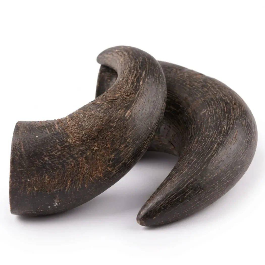 NATURE Snack Horn Small 2pcs Naturlige tyggeben til hunde