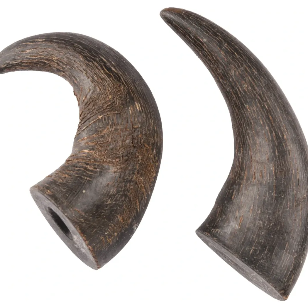 NATURE Snack Horn Small 2pcs Naturlige tyggeben til hunde