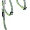 Nightcat Kattesele og Linesæt 8 mm Lime Swallows