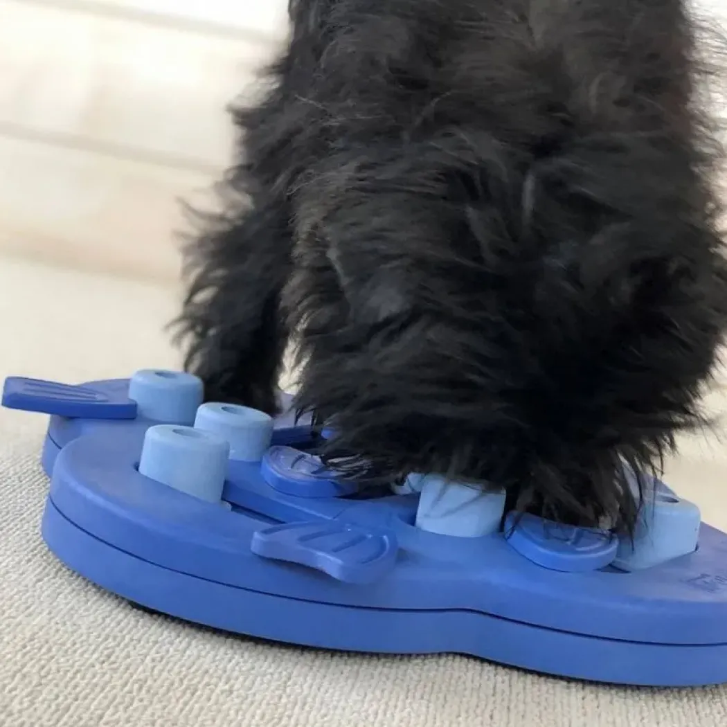 Nina Ottosson HideSlide Niveau 2 Lila - sjovt aktivitetslegetøj til hunde