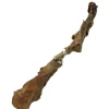 Oksepandelap 60-70 cm - Naturlige hundesnacks