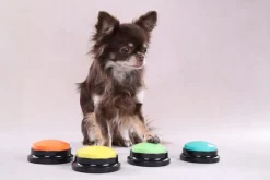 Optag knap til hunde og katte - interaktiv læring til kæledyr