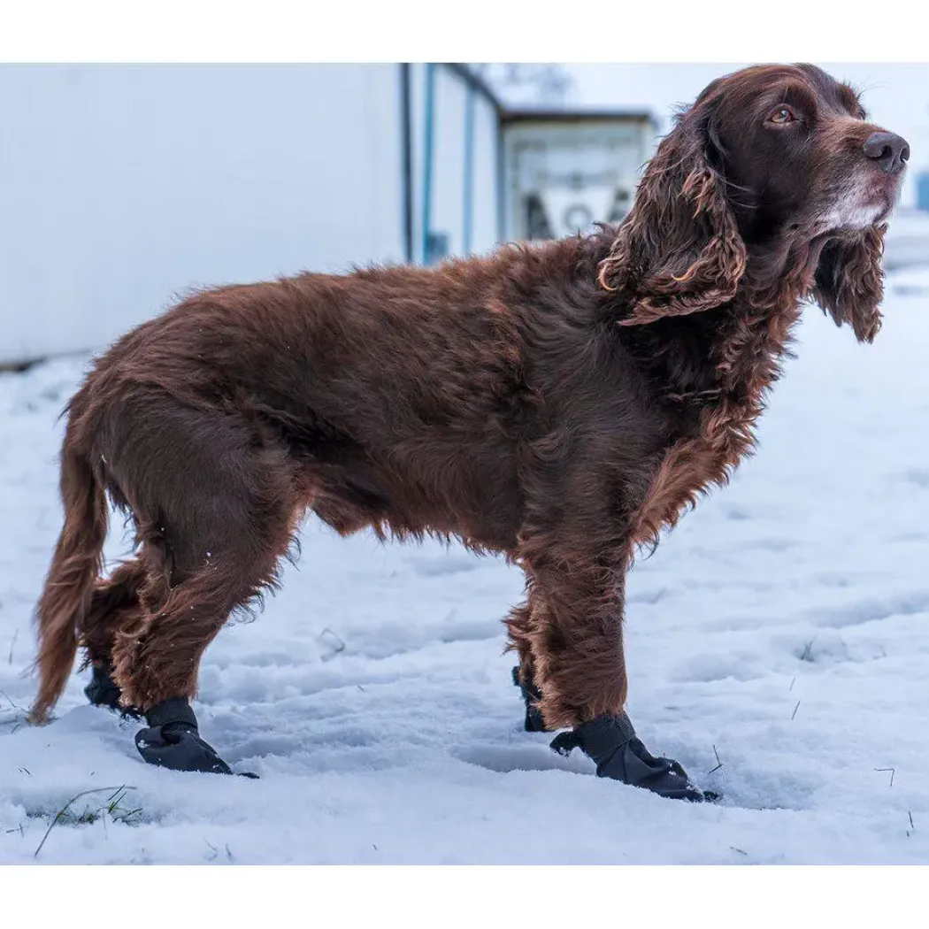 Ozami hundesokker M sort - 4 stk til små hundepoter