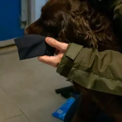 Ozami hundesokker XL sort - bløde sokker til store hundepoter