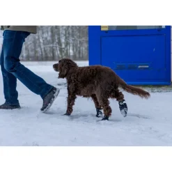 Ozami hundesokker XS sort - 4 stk til små hundepoter