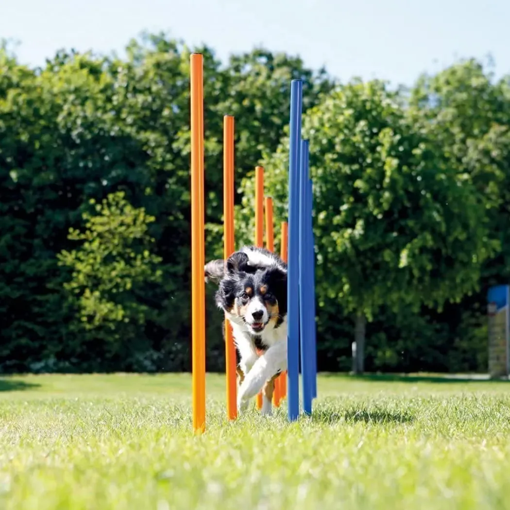 Pawise Hunde Agility Slalom 12 stk pæle - sjov hundetræning