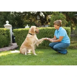 PetSafe - anti gø halsbånd store hunde