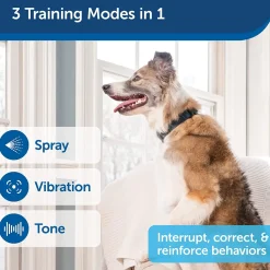 Petsafe Anti-Gø 300 m Remote Spray Trainer