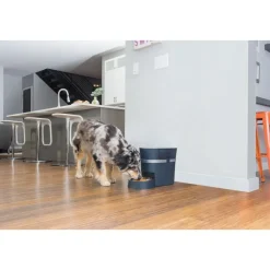 Petsafe Smartfeed 2.0 Foderautomat