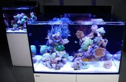 Red Sea Akvarium Max E-260 Hvid