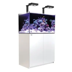 Red Sea Akvarium Reefer Deluxe Hvid 250