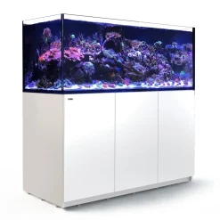Red Sea Akvarium Reefer Hvid XXL 625 V3