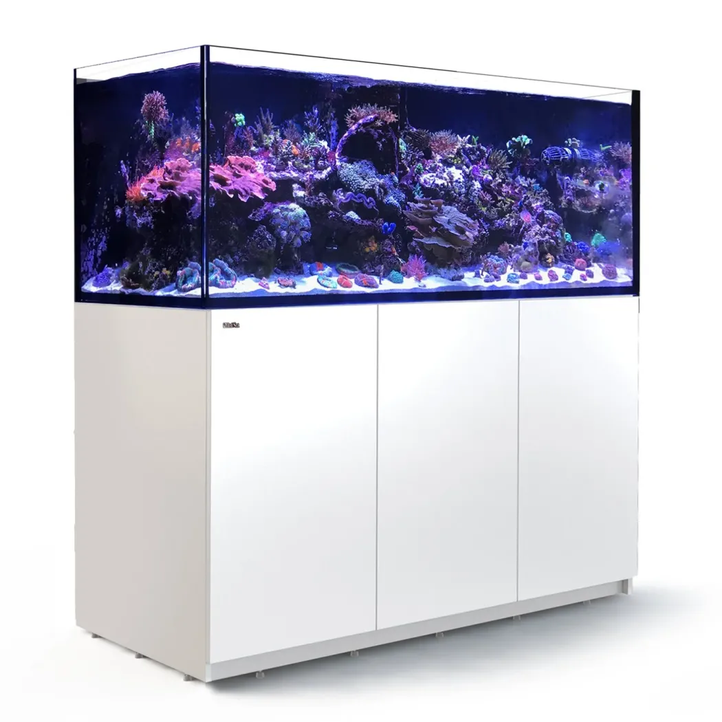 Red Sea Akvarium Reefer Hvid XXL 625 V3