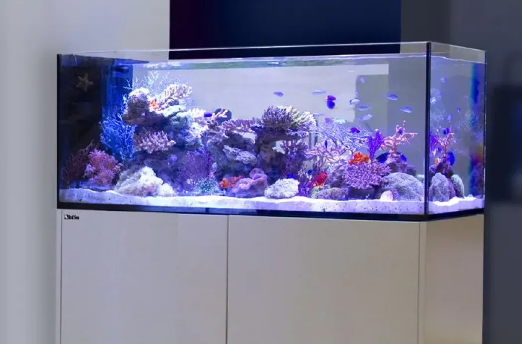 Red Sea Akvarium sæt Peninsula P500 Deluxe Hvid