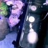 Red Sea Nano Max Complete Reef System Hvidt G2