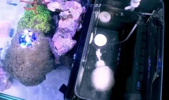 Red Sea Nano Max Complete Reef System Hvidt G2