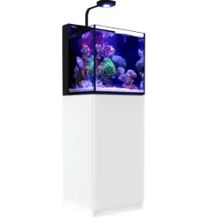 Red Sea Nano Max Complete Reef System Hvidt G2
