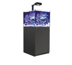 Red Sea Saltvandsakvarium Reefer XL 200 Deluxe G2 Sort
