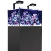 Red Sea Saltvandsakvarium Reefer XL 300 Deluxe Sort