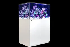 Red Sea Saltvandsakvarium Reefer XL 300 Hvid
