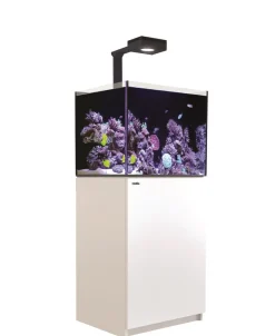Red Sea Akvarium Reefer Deluxe Hvid 170