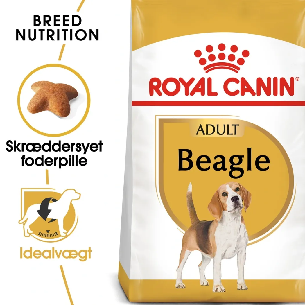 Royal Canin Beagle Adult 12 kg - tørfoder til voksne hunde