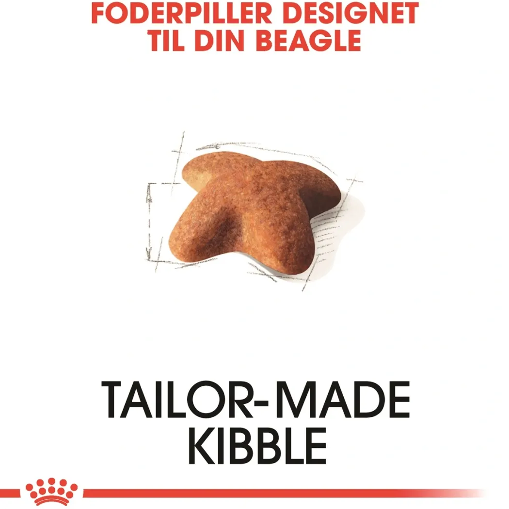Royal Canin Beagle Adult 12 kg - tørfoder til voksne hunde
